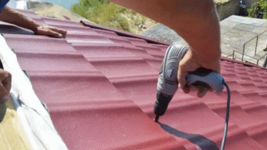 Roof Ranger Bedding Pointing