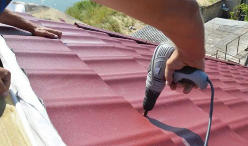 Roof Ranger Bedding Pointing