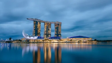flight to Singapore