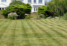  Landscaping companies near m