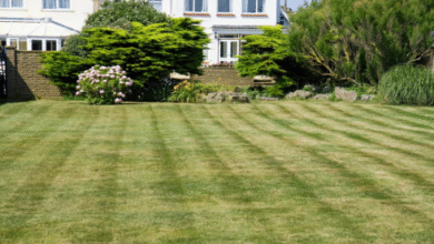 Landscaping companies near m