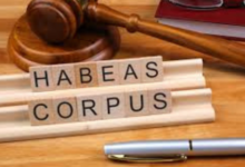 Immigration Habeas Lawyer 