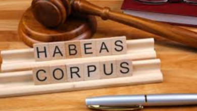 Immigration Habeas Lawyer