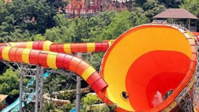 Splashmania tickets 