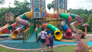 book Farm in the City tickets