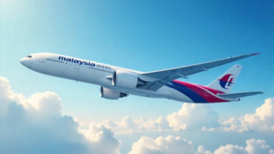 Malaysia Airlines cheap flights