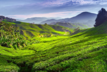 book hotels in Malaysia