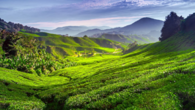 book hotels in Malaysia