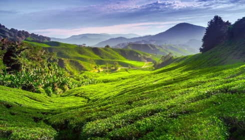 book hotels in Malaysia
