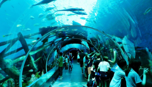 buy SEA Aquarium tickets online
