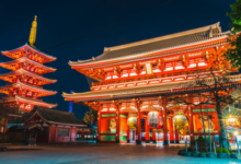 buy Tokyo Disneyland tickets online